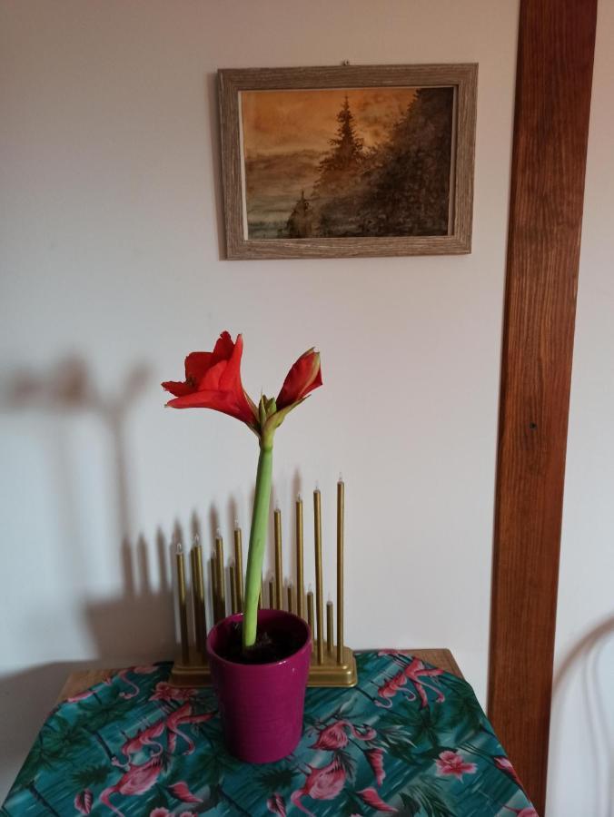 Dolina Rosy Ustrzyki Dolne Exterior foto