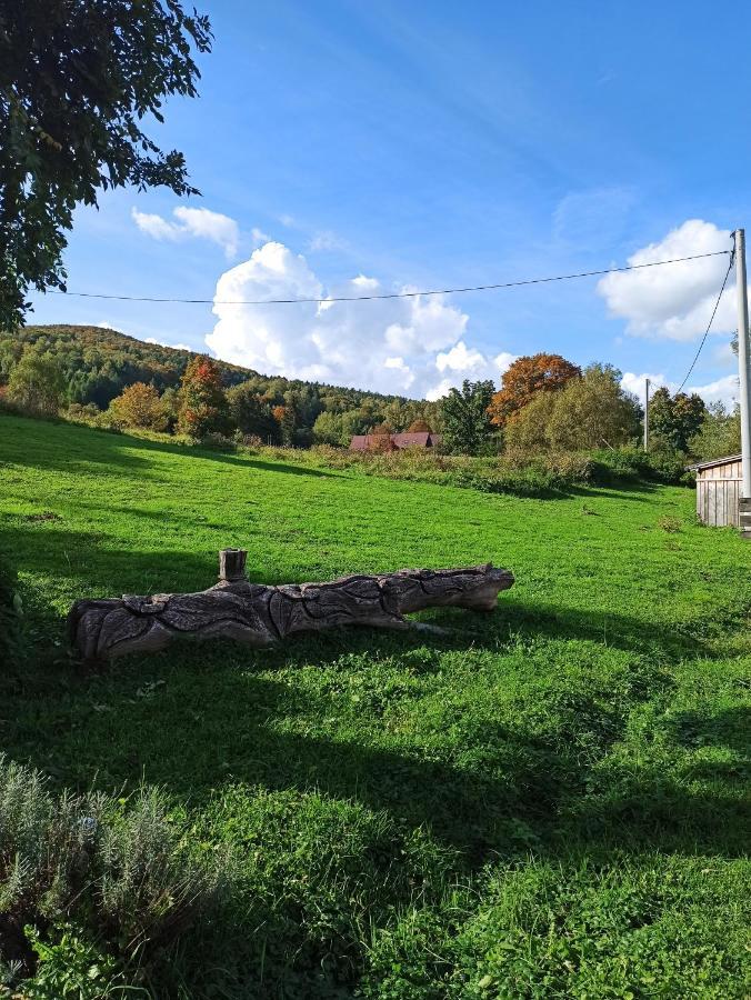 Dolina Rosy Ustrzyki Dolne Exterior foto