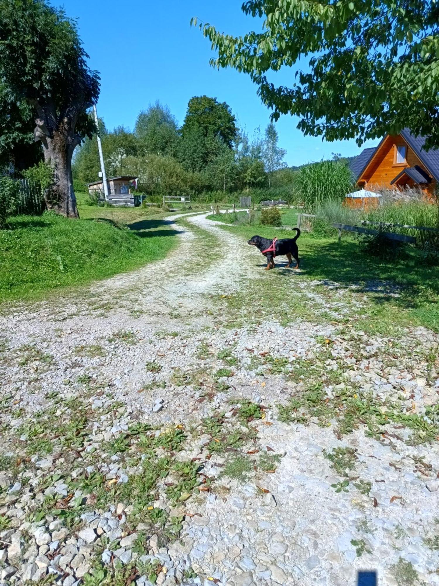 Dolina Rosy Ustrzyki Dolne Exterior foto