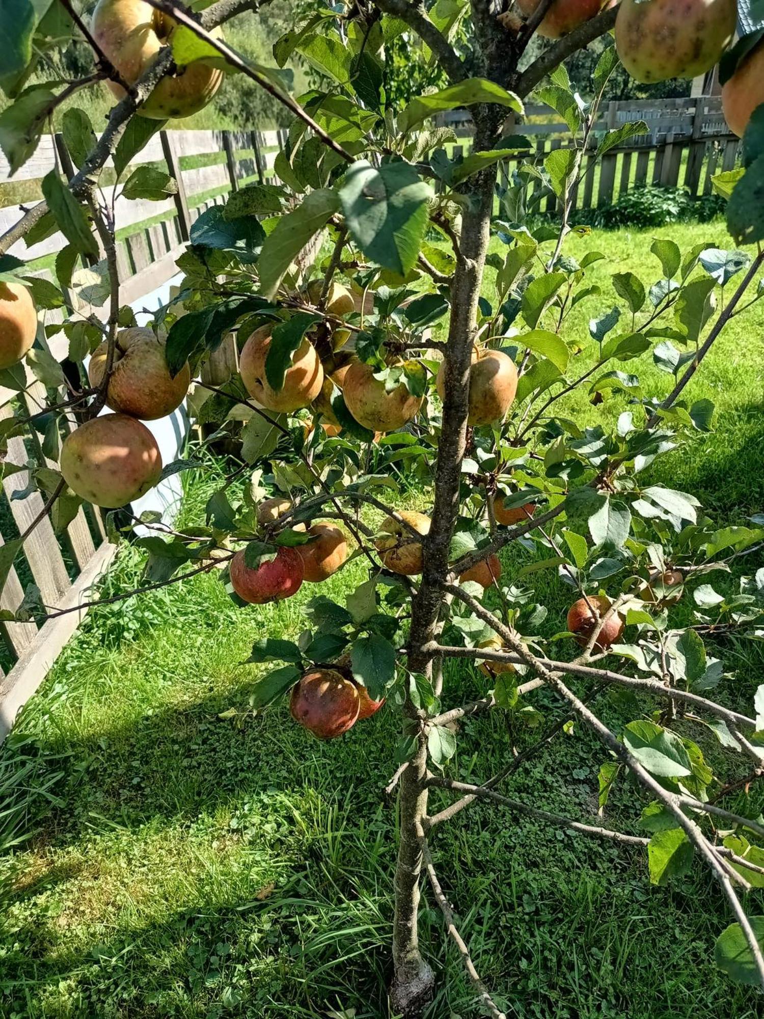 Dolina Rosy Ustrzyki Dolne Exterior foto